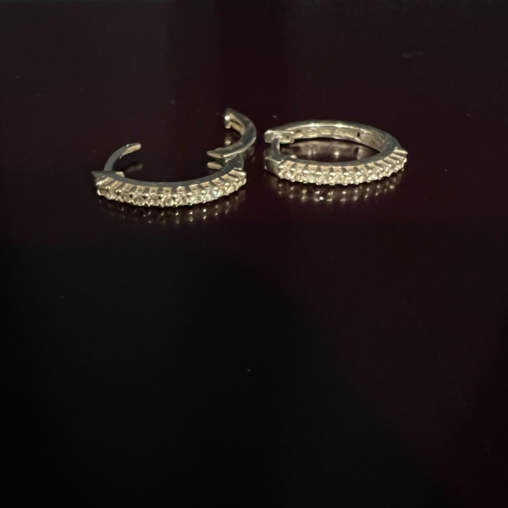 Silver sparkle earrings